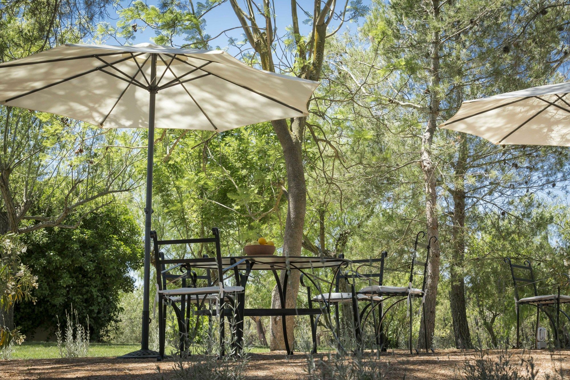 Finca Son Miranda - La Organic Sencelles Exteriör bild
