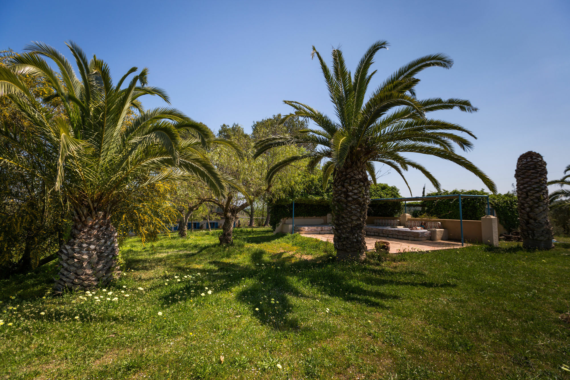 Finca Son Miranda - La Organic Sencelles Exteriör bild