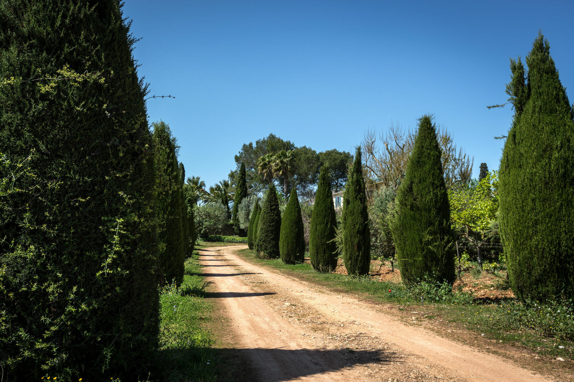 Finca Son Miranda - La Organic Sencelles Exteriör bild