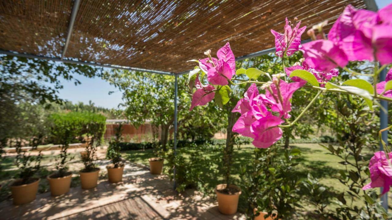 Finca Son Miranda - La Organic Sencelles Exteriör bild