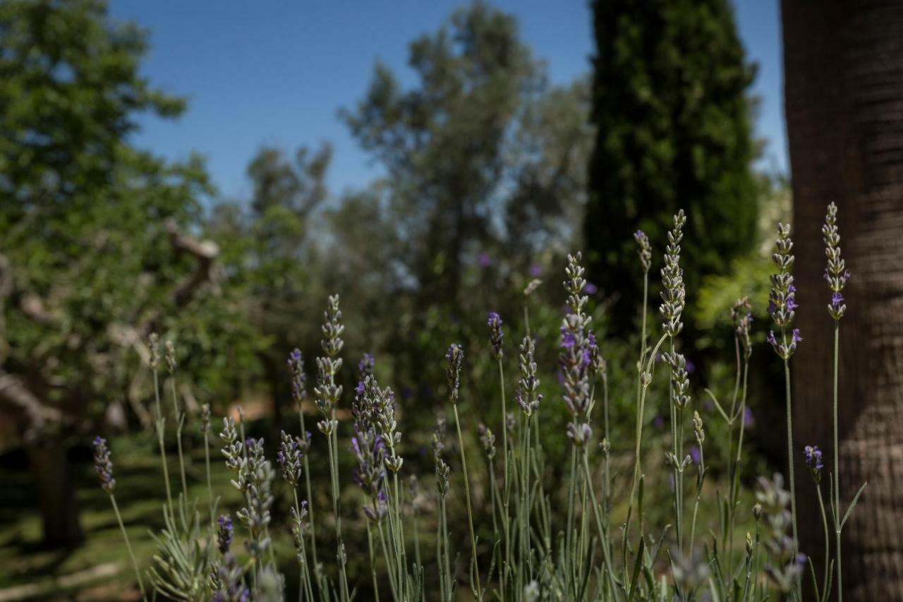 Finca Son Miranda - La Organic Sencelles Exteriör bild